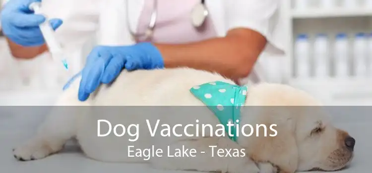 Dog Vaccinations Eagle Lake - Texas