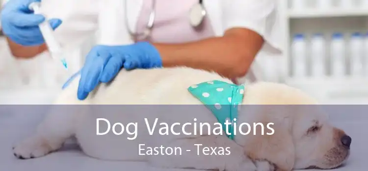 Dog Vaccinations Easton - Texas