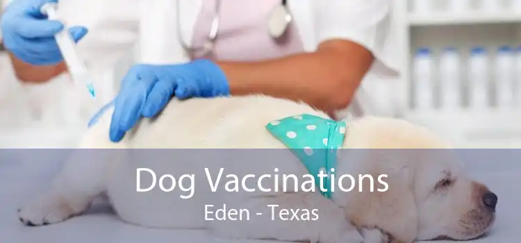 Dog Vaccinations Eden - Texas