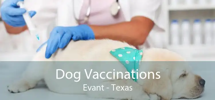 Dog Vaccinations Evant - Texas