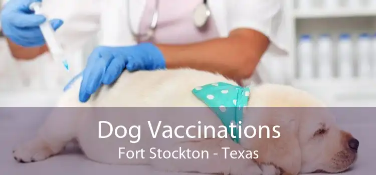 Dog Vaccinations Fort Stockton - Texas