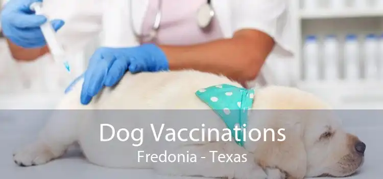 Dog Vaccinations Fredonia - Texas