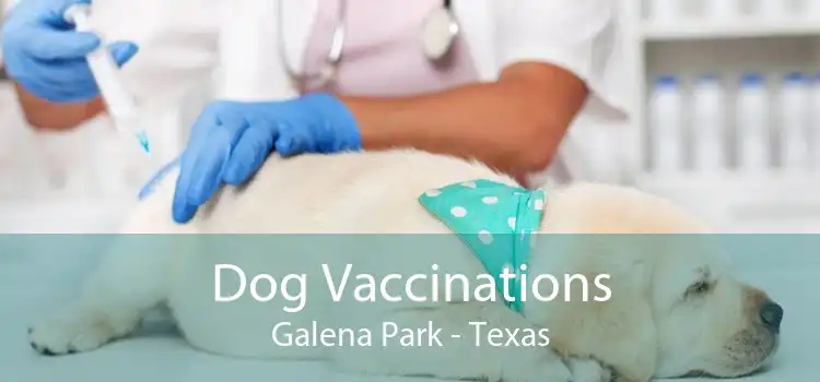 Dog Vaccinations Galena Park - Texas