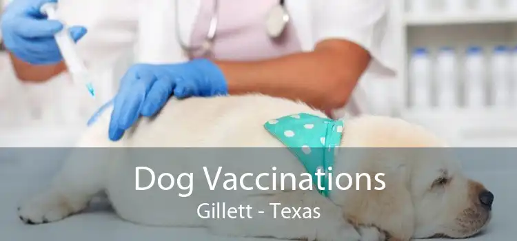 Dog Vaccinations Gillett - Texas