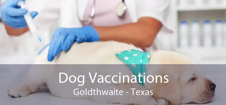 Dog Vaccinations Goldthwaite - Texas