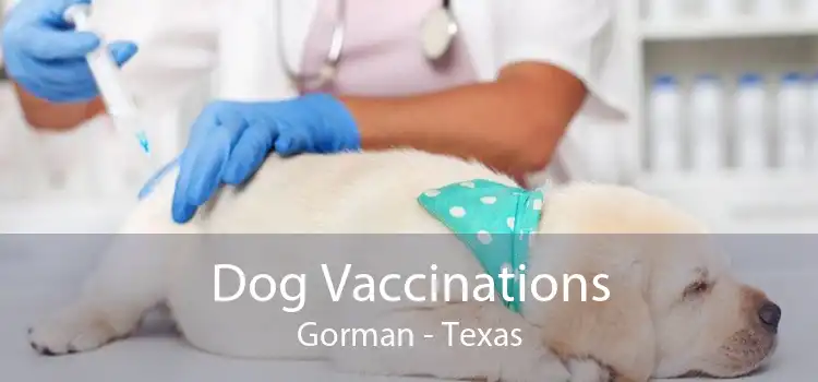 Dog Vaccinations Gorman - Texas