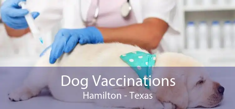 Dog Vaccinations Hamilton - Texas