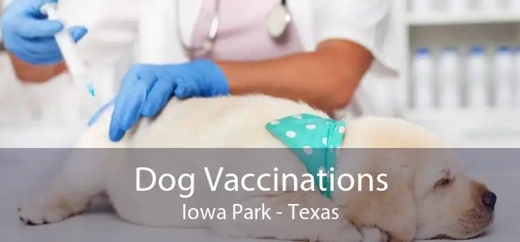 Dog Vaccinations Iowa Park - Texas