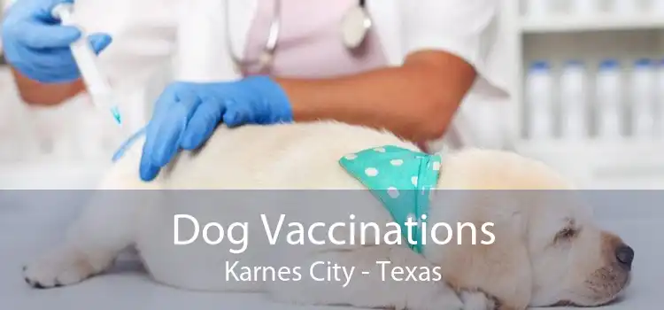 Dog Vaccinations Karnes City - Texas