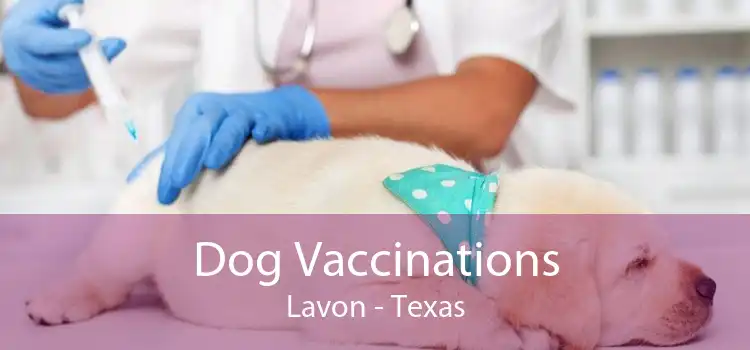 Dog Vaccinations Lavon - Texas