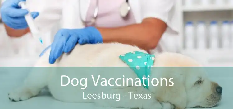 Dog Vaccinations Leesburg - Texas