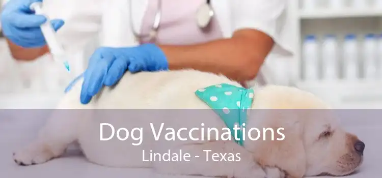 Dog Vaccinations Lindale - Texas