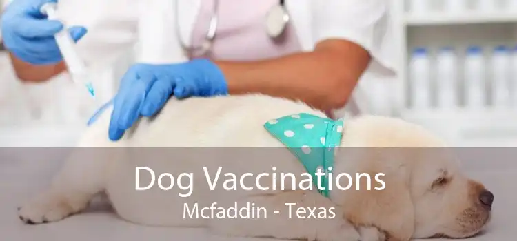 Dog Vaccinations Mcfaddin - Texas