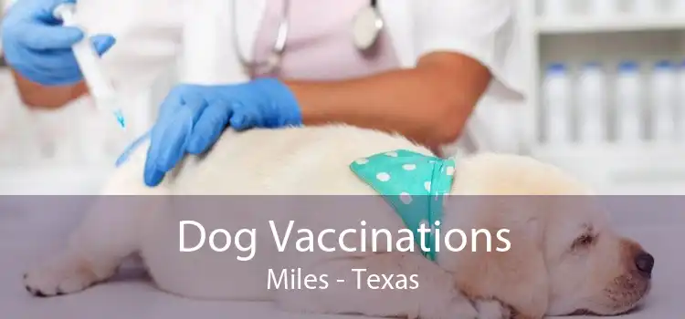 Dog Vaccinations Miles - Texas