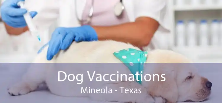 Dog Vaccinations Mineola - Texas