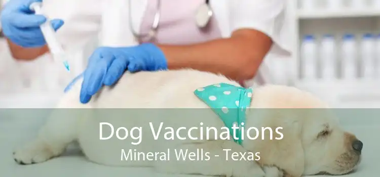 Dog Vaccinations Mineral Wells - Texas