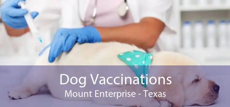 Dog Vaccinations Mount Enterprise - Texas