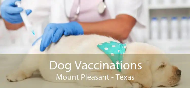 Dog Vaccinations Mount Pleasant - Texas