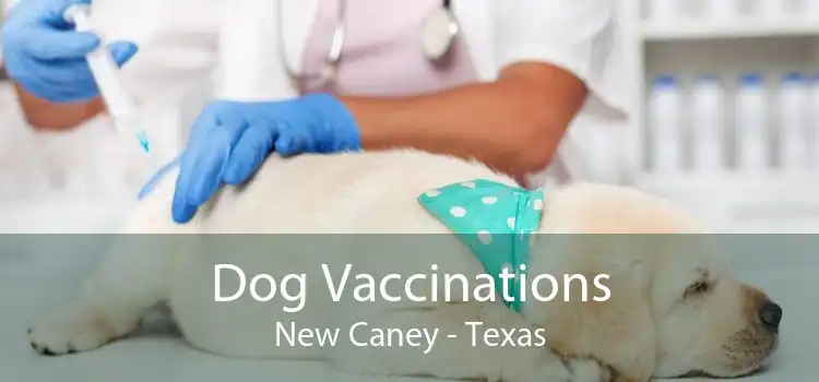 Dog Vaccinations New Caney - Texas