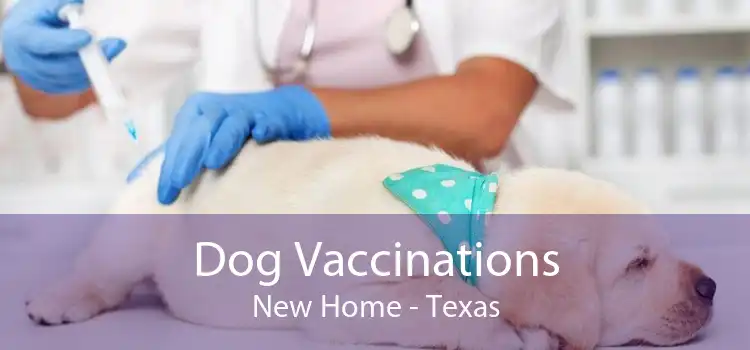 Dog Vaccinations New Home - Texas