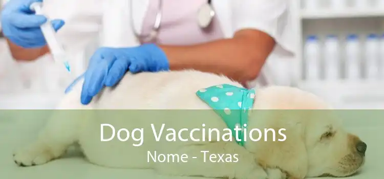 Dog Vaccinations Nome - Texas