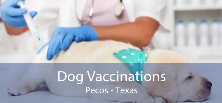 Dog Vaccinations Pecos - Texas