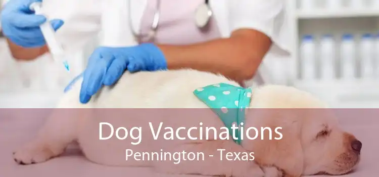 Dog Vaccinations Pennington - Texas