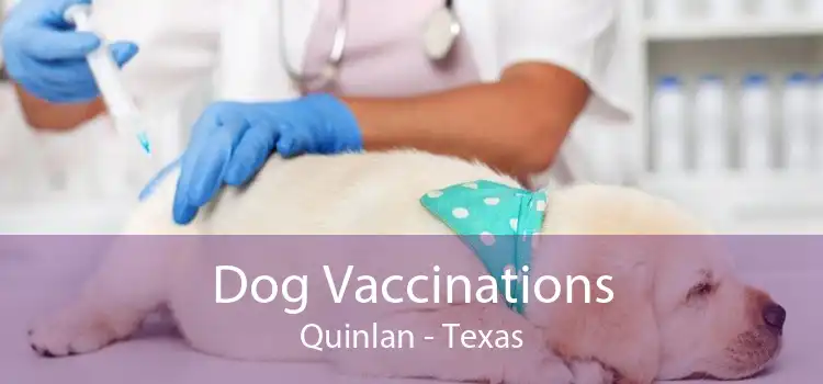 Dog Vaccinations Quinlan - Texas