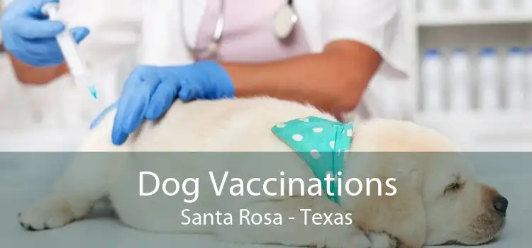 Dog Vaccinations Santa Rosa - Texas