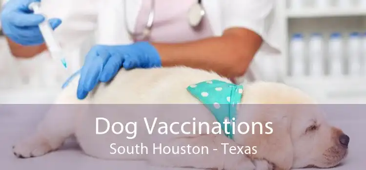 Dog Vaccinations South Houston - Texas