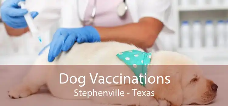 Dog Vaccinations Stephenville - Texas