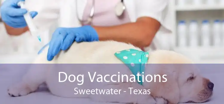 Dog Vaccinations Sweetwater - Texas