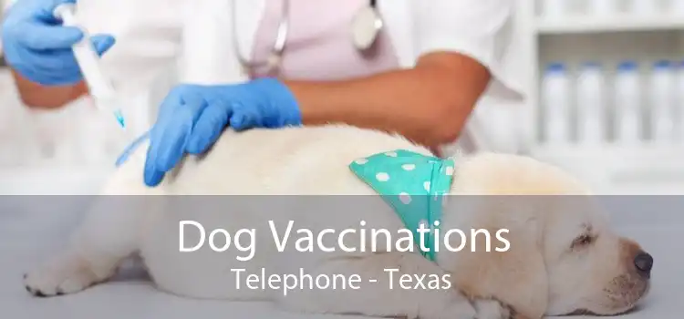 Dog Vaccinations Telephone - Texas