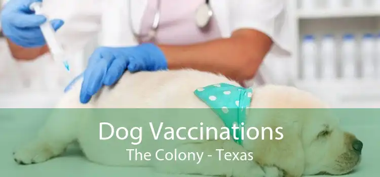 Dog Vaccinations The Colony - Texas