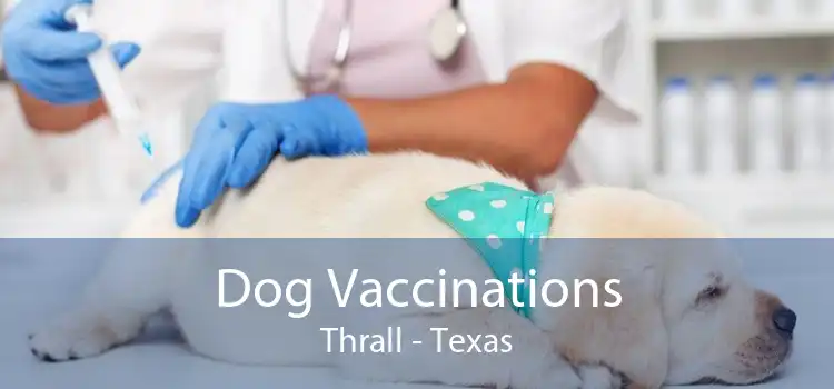 Dog Vaccinations Thrall - Texas