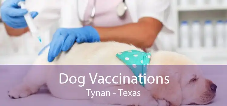 Dog Vaccinations Tynan - Texas