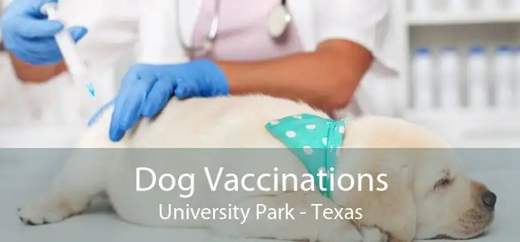 Dog Vaccinations University Park - Texas