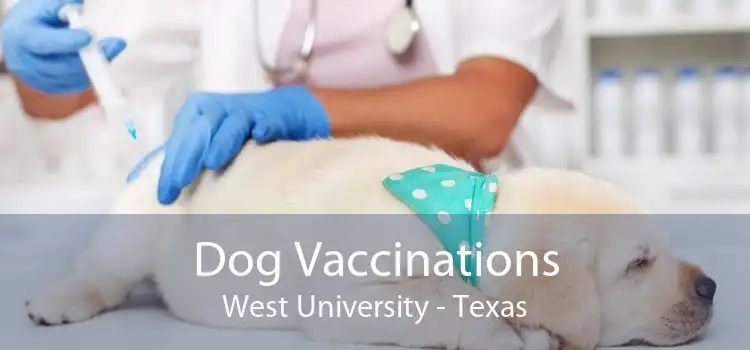 Dog Vaccinations West University - Texas