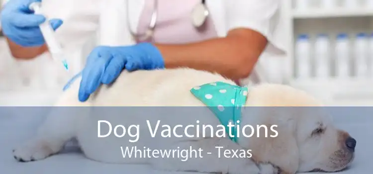 Dog Vaccinations Whitewright - Texas