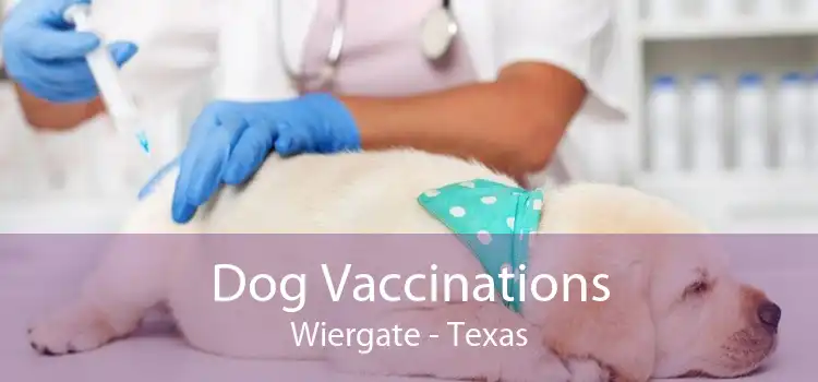 Dog Vaccinations Wiergate - Texas