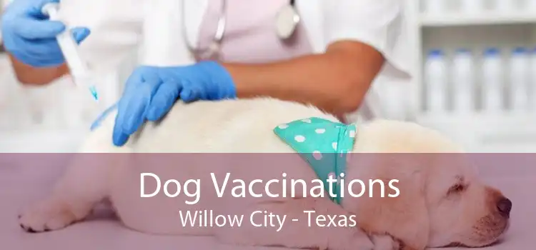 Dog Vaccinations Willow City - Texas