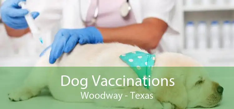 Dog Vaccinations Woodway - Texas