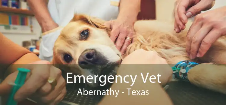 Emergency Vet Abernathy - Texas