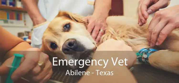 Emergency Vet Abilene - Texas