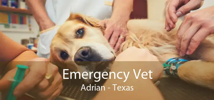 Emergency Vet Adrian - Texas