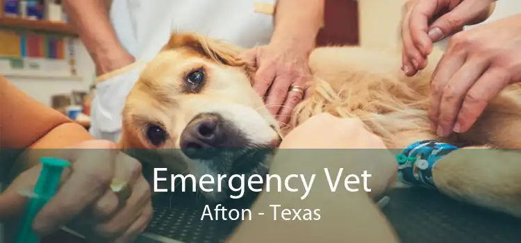 Emergency Vet Afton - Texas