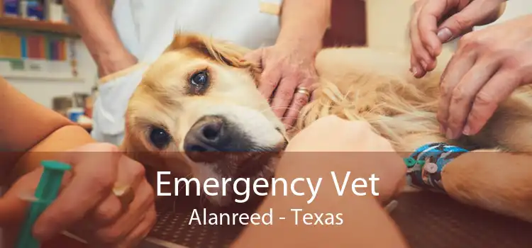 Emergency Vet Alanreed - Texas