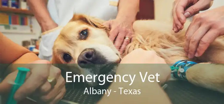 Emergency Vet Albany - Texas