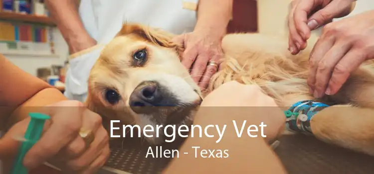 Emergency Vet Allen - Texas