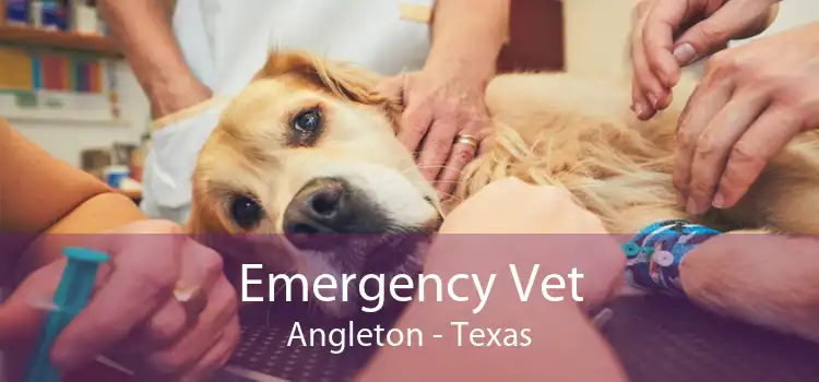 Emergency Vet Angleton - Texas